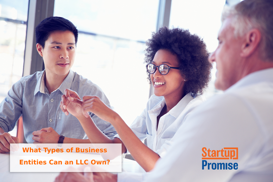 what type of business can llc own